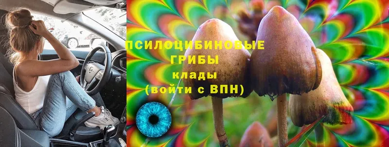 закладки  мориарти состав  Галлюциногенные грибы Magic Shrooms  Лянтор 